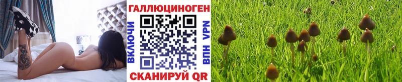 Купить  Зея  Галлюциногенные грибы GOLDEN TEACHER 